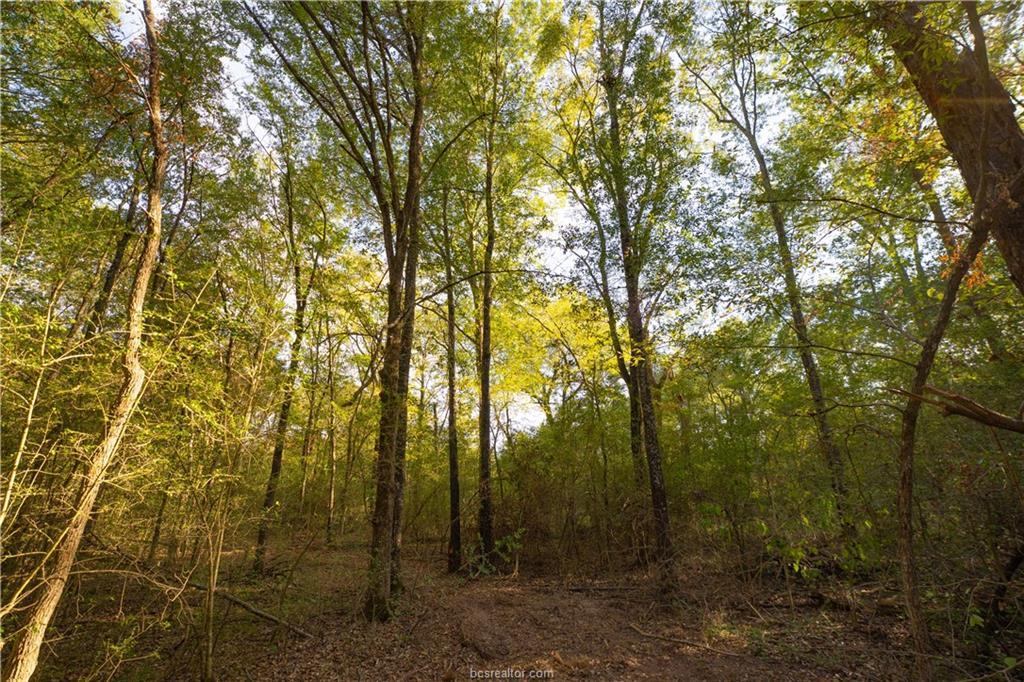 12424 Red Hill Rd Property Photo 2