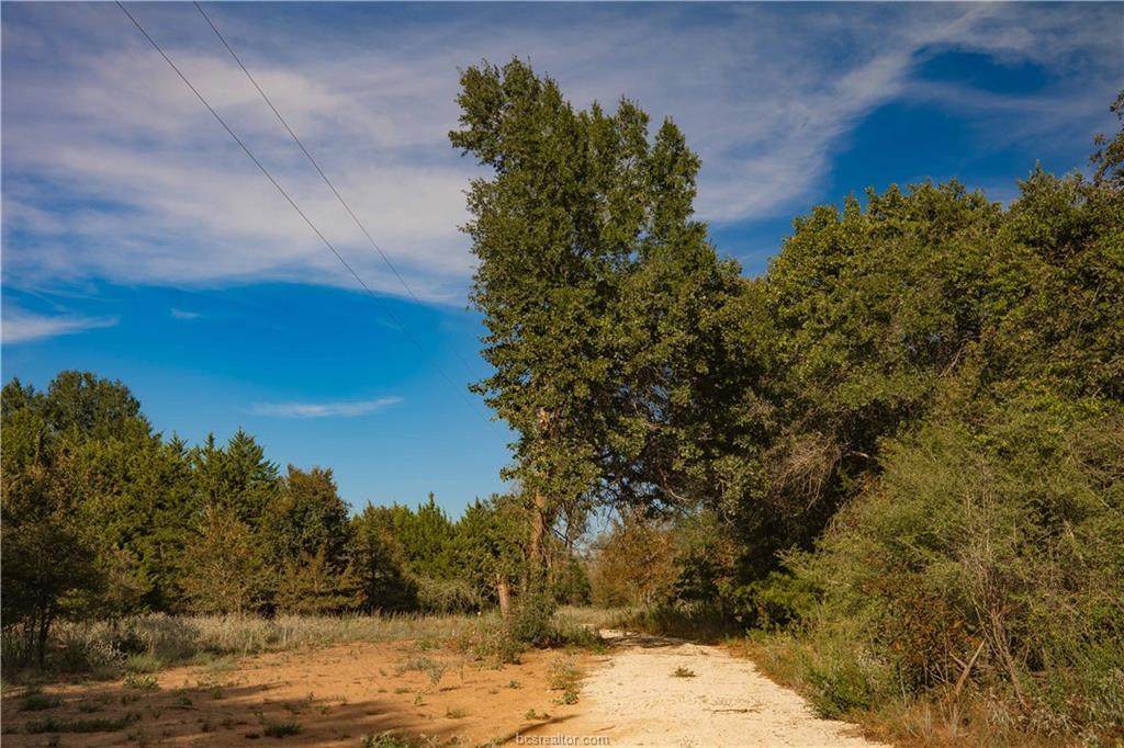 12424 Red Hill Rd Property Photo 8
