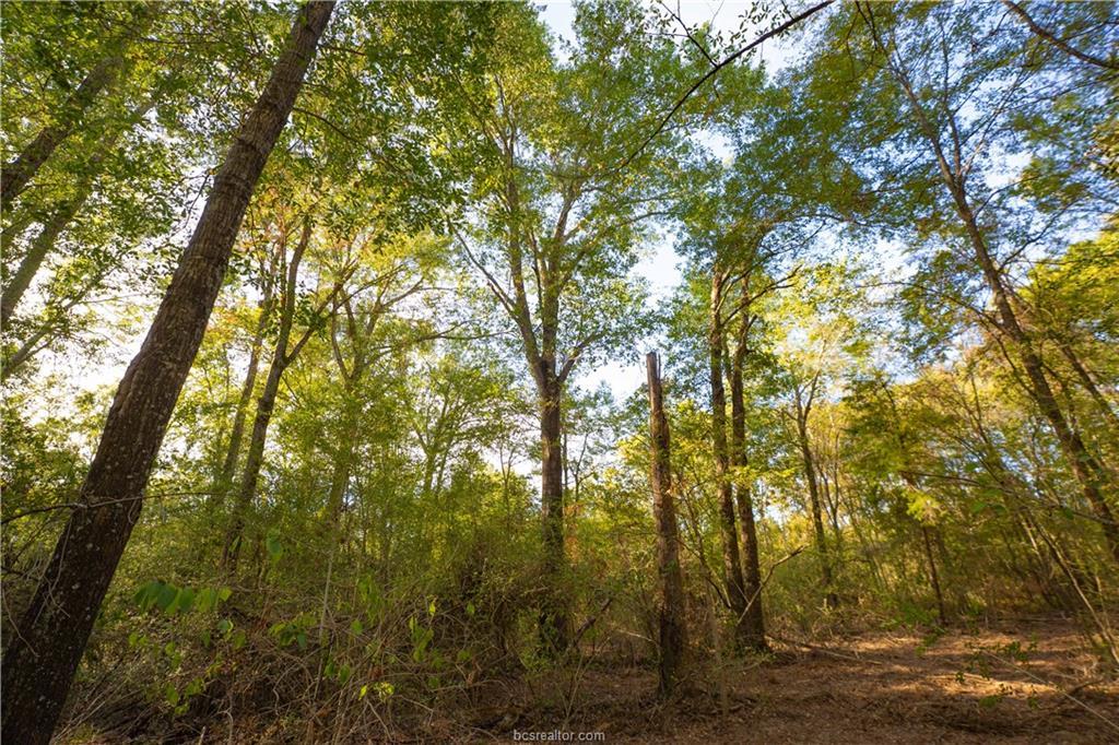 12424 Red Hill Rd Property Photo 9
