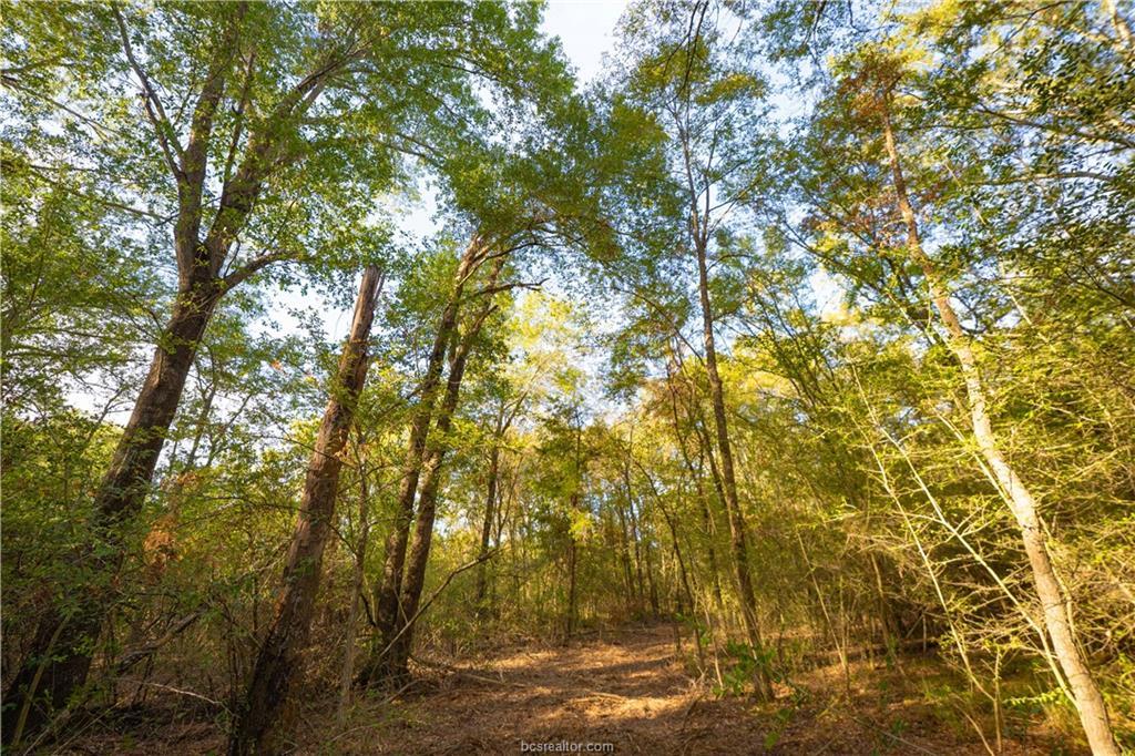 12424 Red Hill Rd Property Photo 12