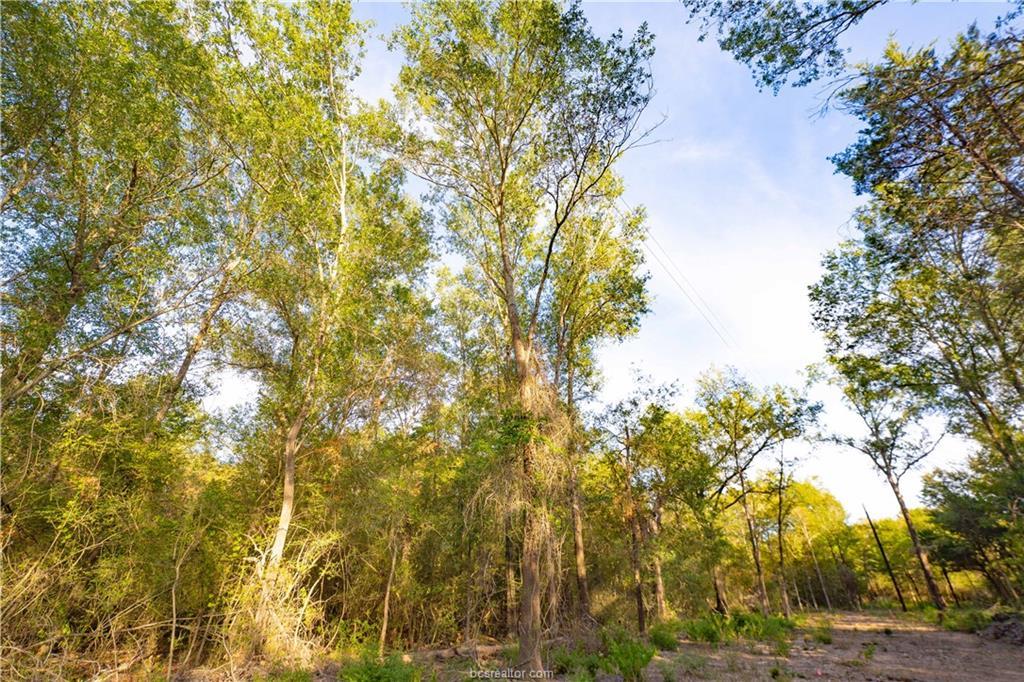 12424 Red Hill Rd Property Photo 16