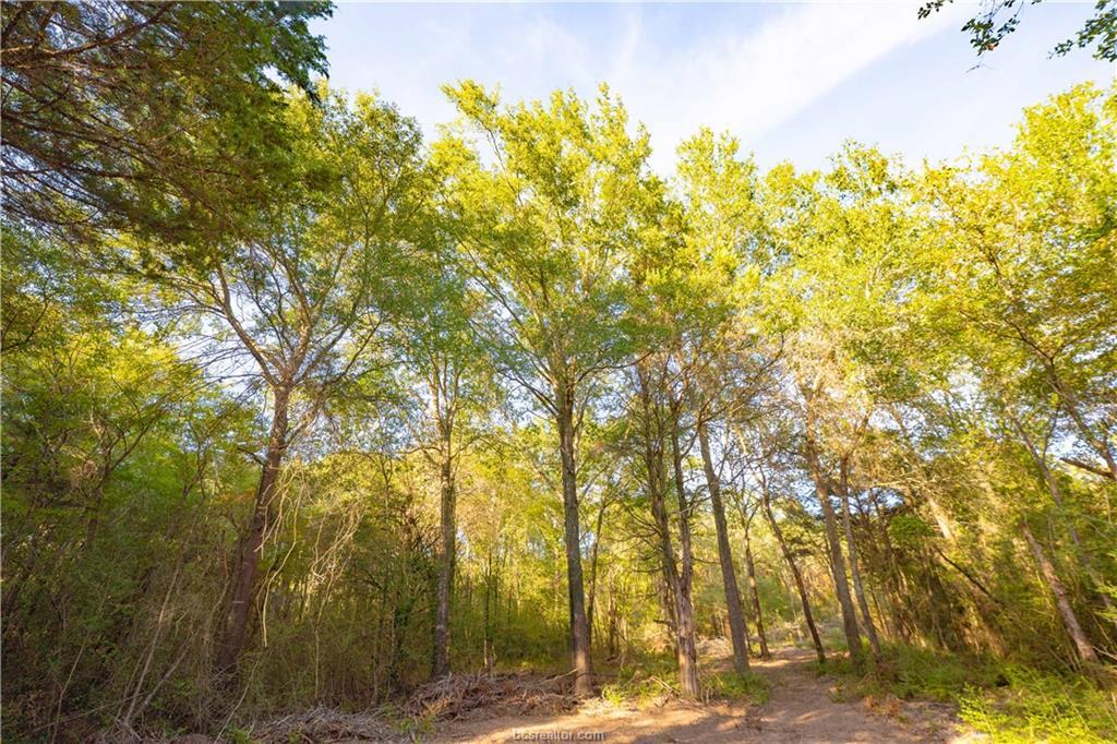 12424 Red Hill Rd Property Photo 17