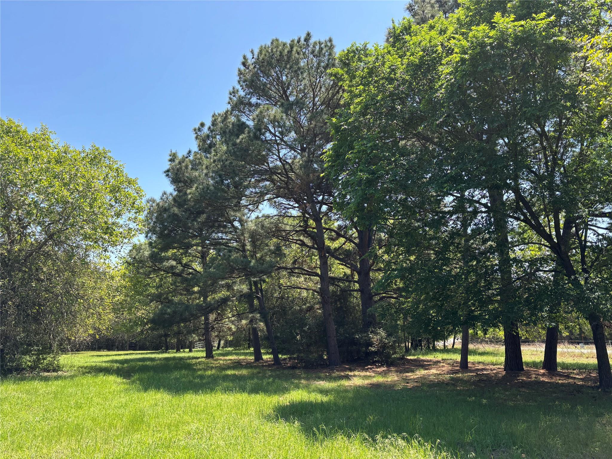 Lot 251 Pine Valley Loop Property Photo