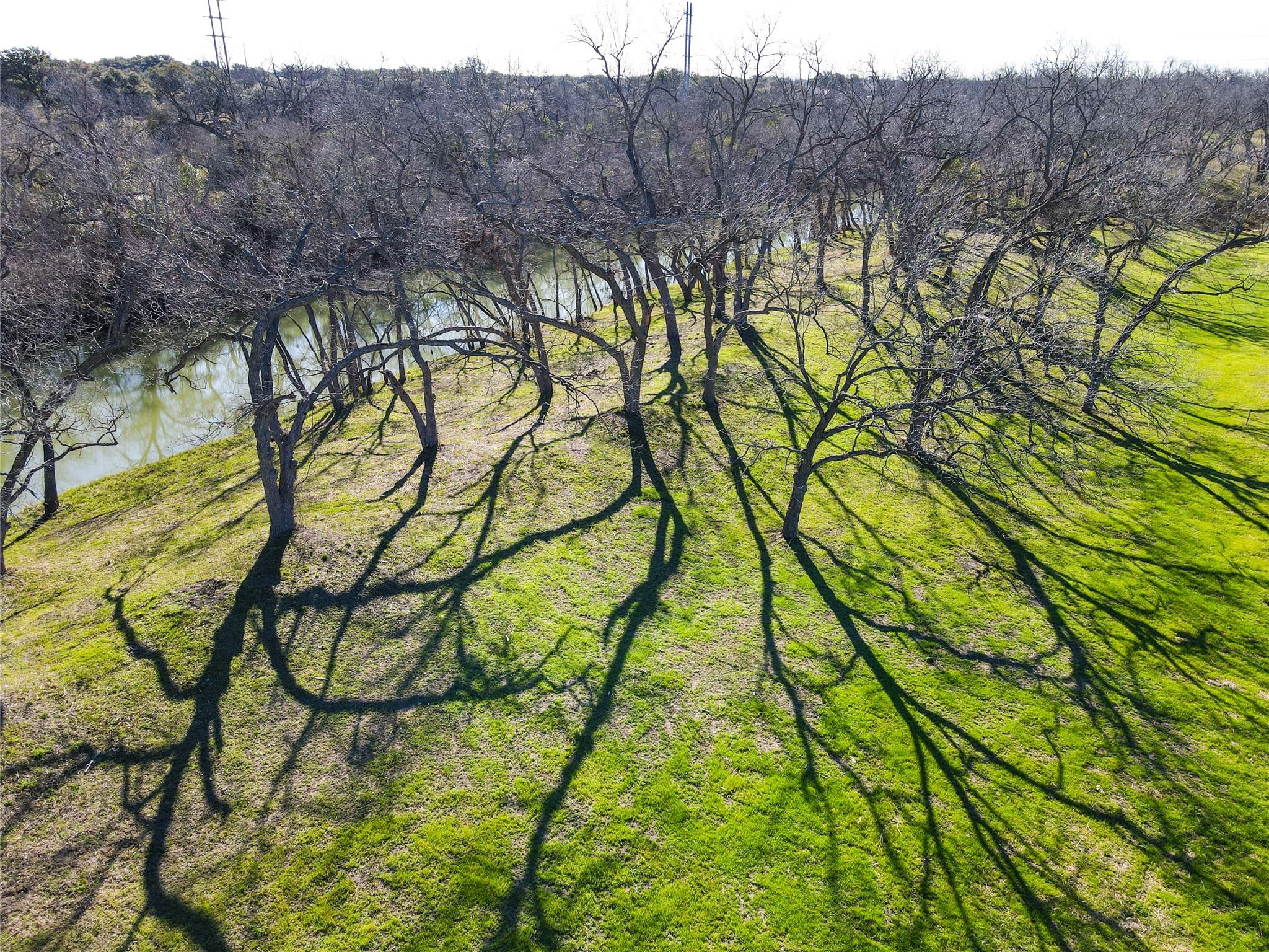 Tbd Lot 4 Leon River Property Photo 8