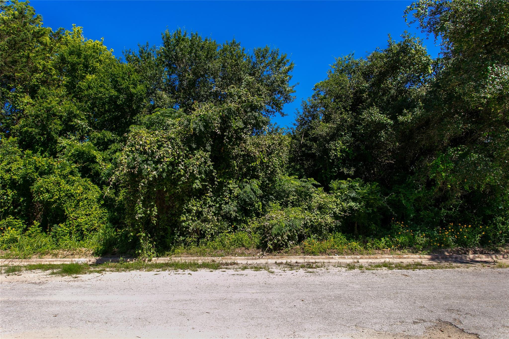 Tbd Lantern St Property Photo 10