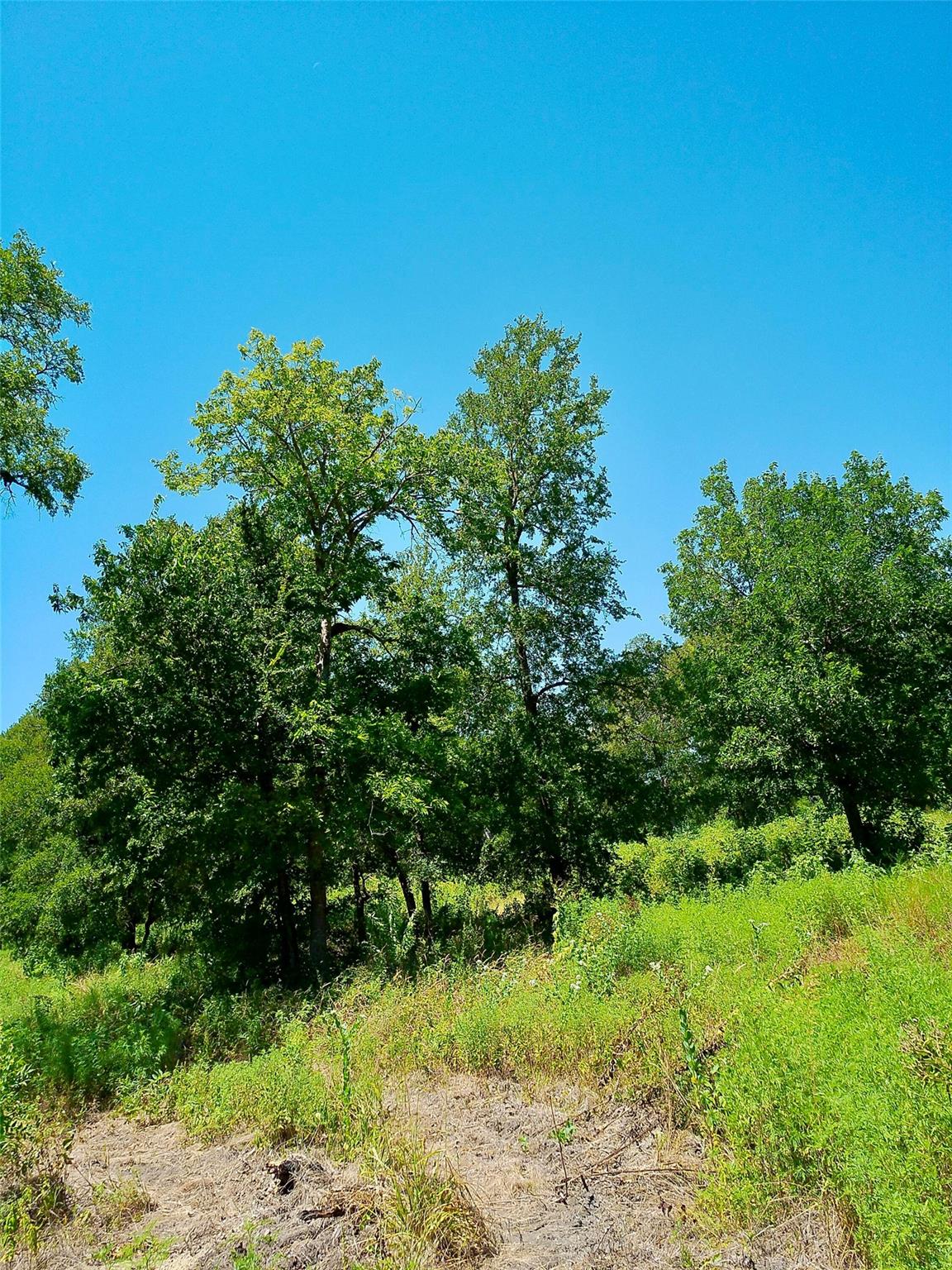 Lot 22 Serenity Dr Property Photo 1