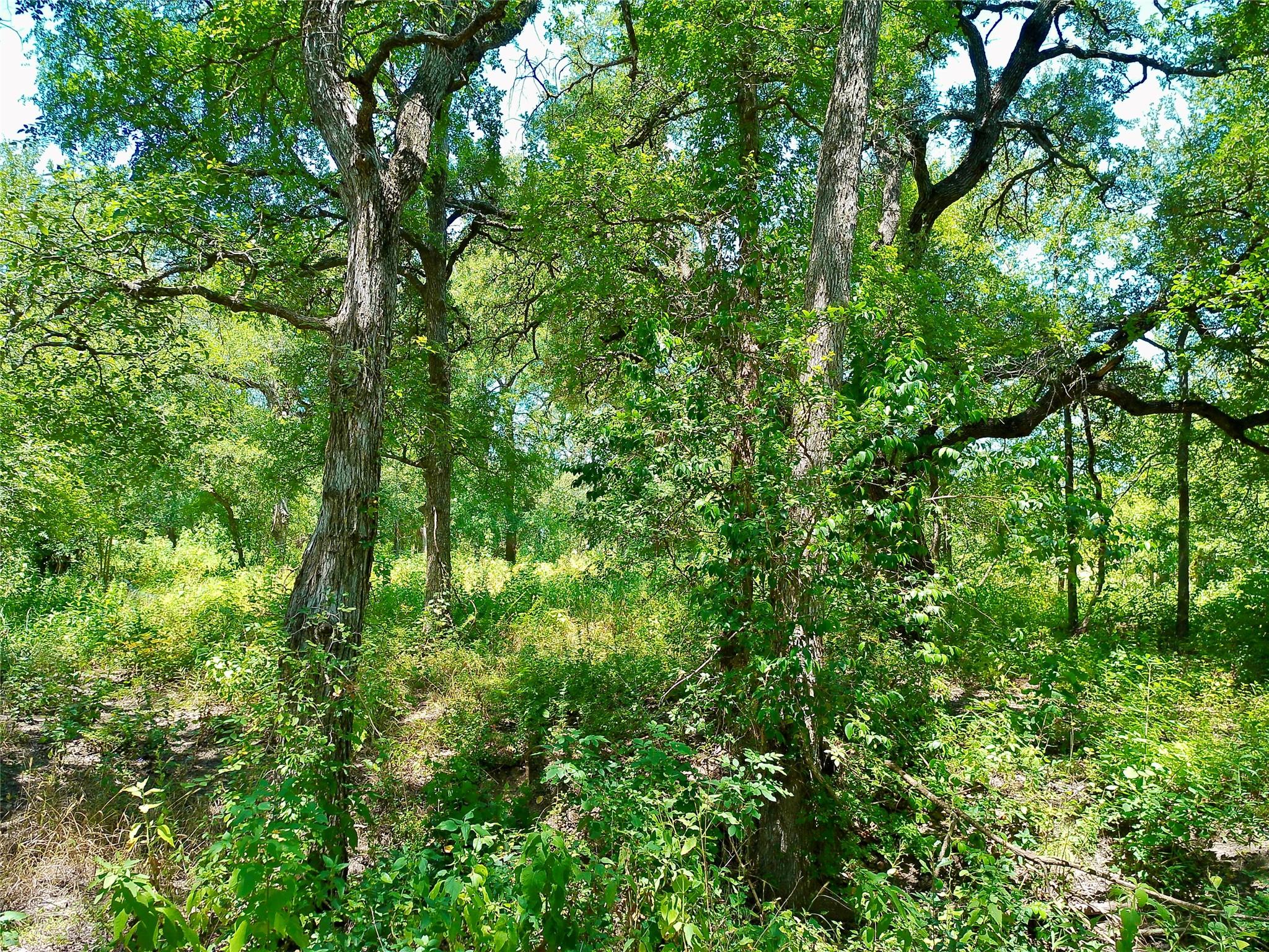 Lot 22 Serenity Dr Property Photo 3