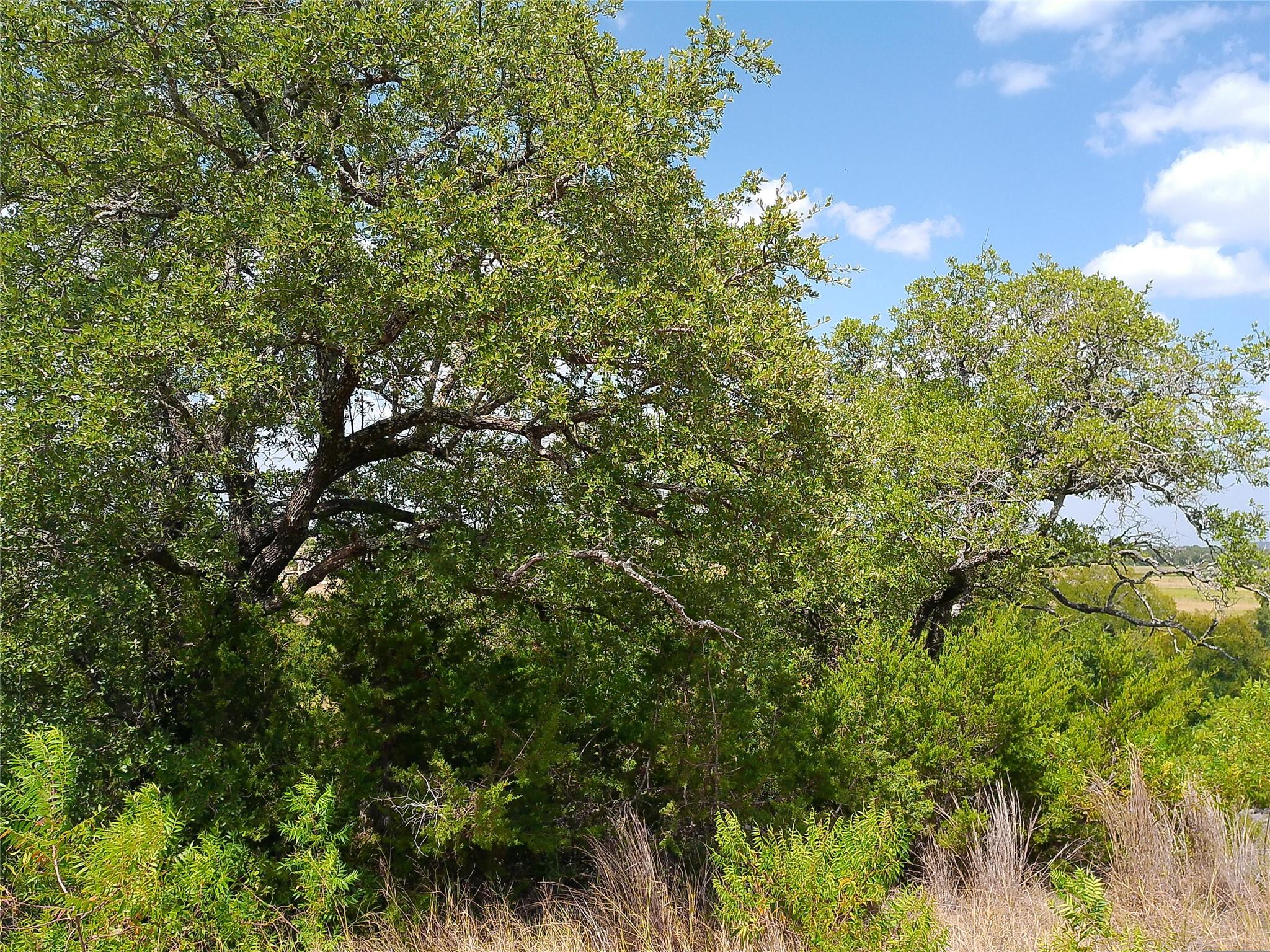 Lot 22 Serenity Dr Property Photo 6