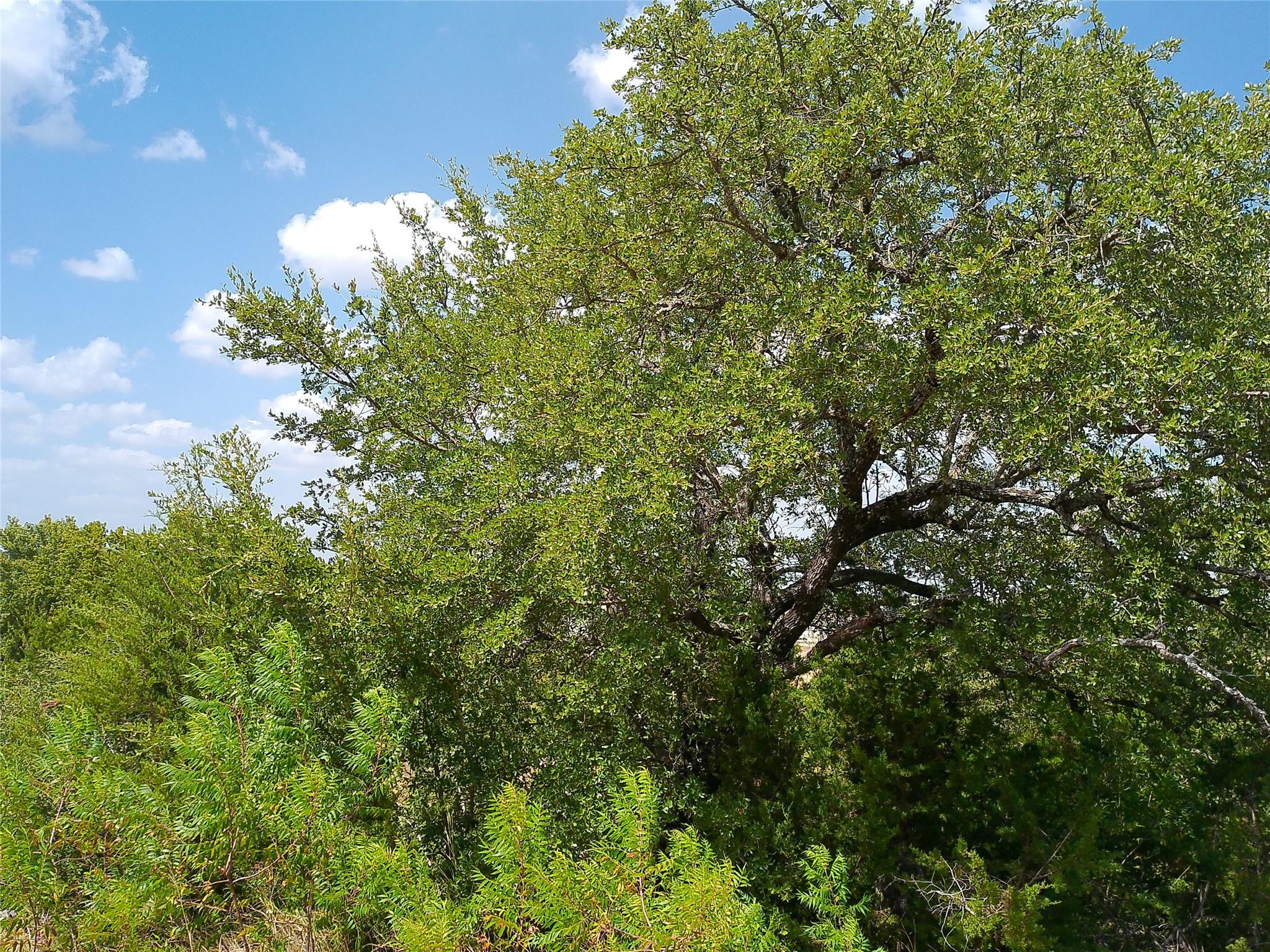 Lot 22 Serenity Dr Property Photo 7