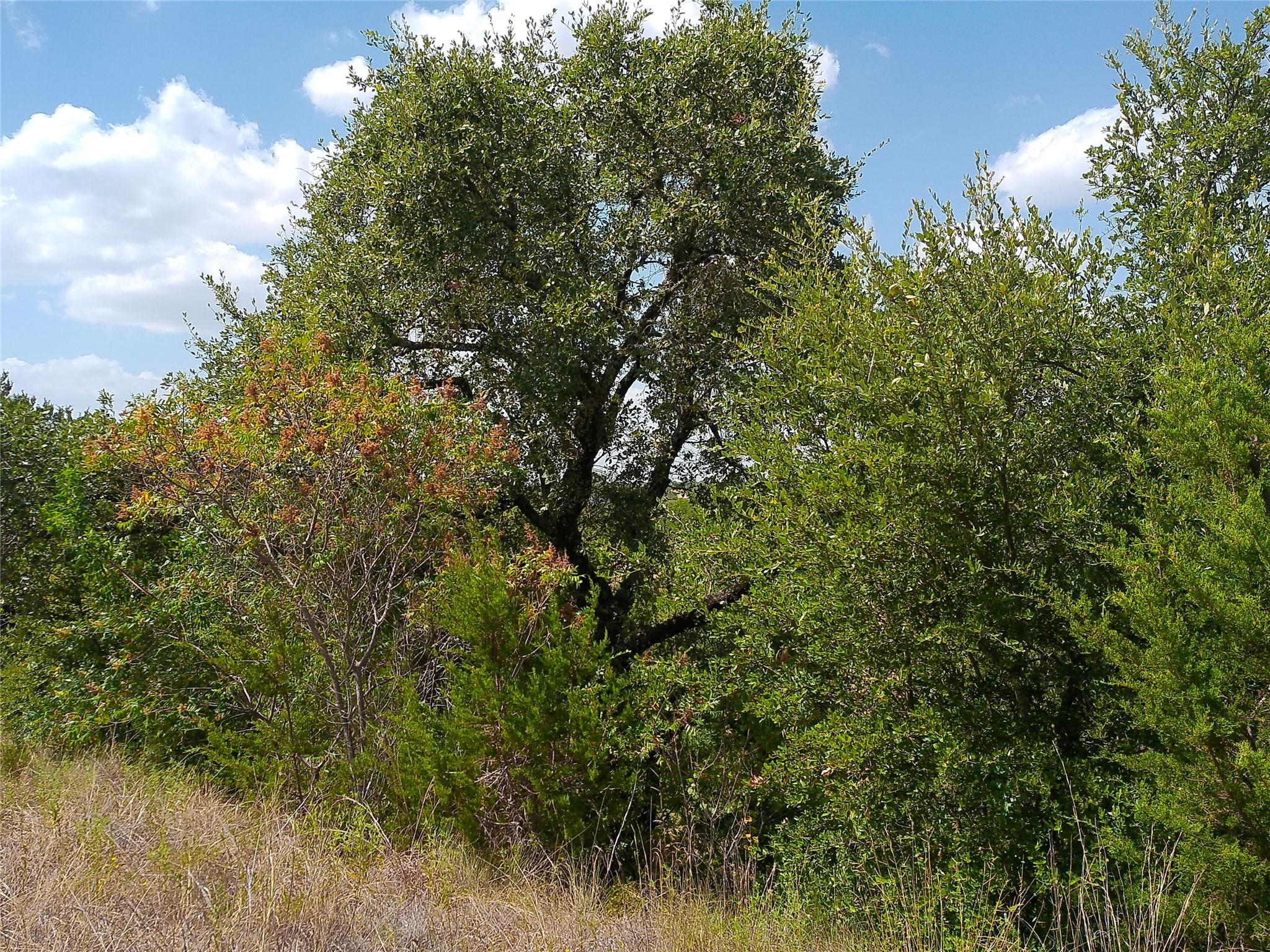 Lot 22 Serenity Dr Property Photo 10
