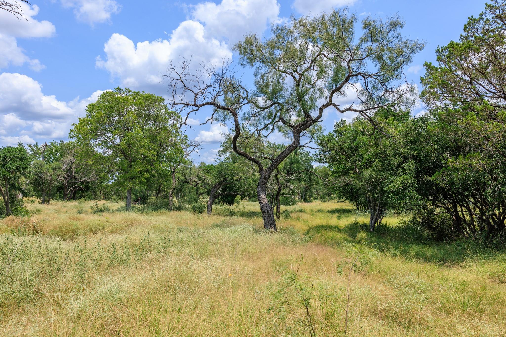 0 Ranch Road 648 None Property Photo 3