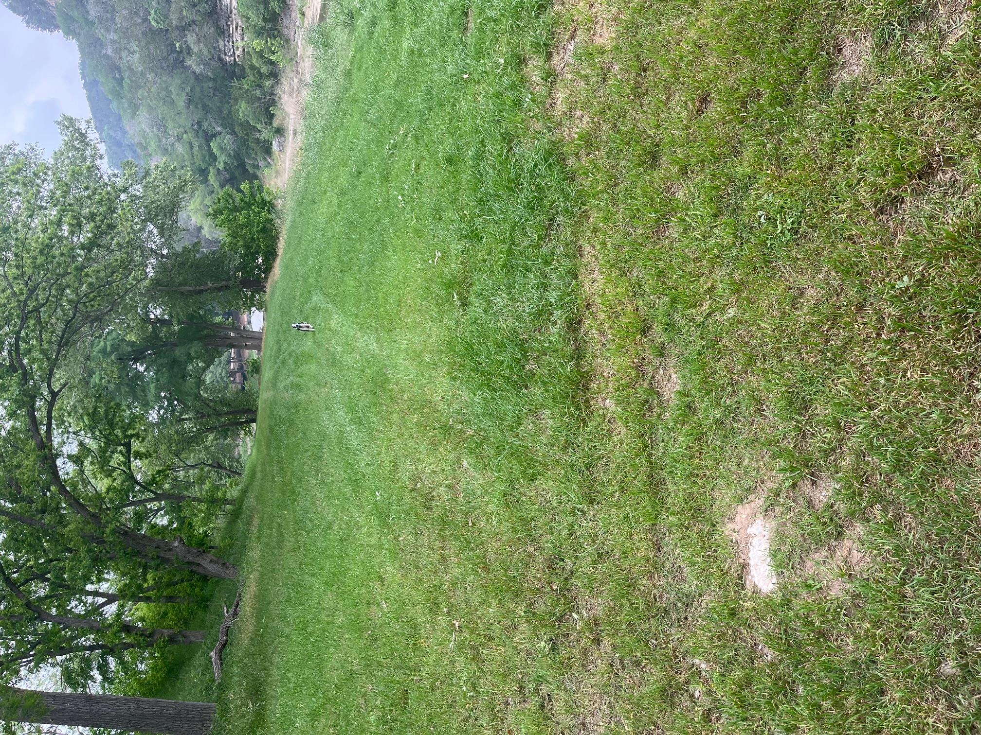 865 Bingham Ln Property Photo 12