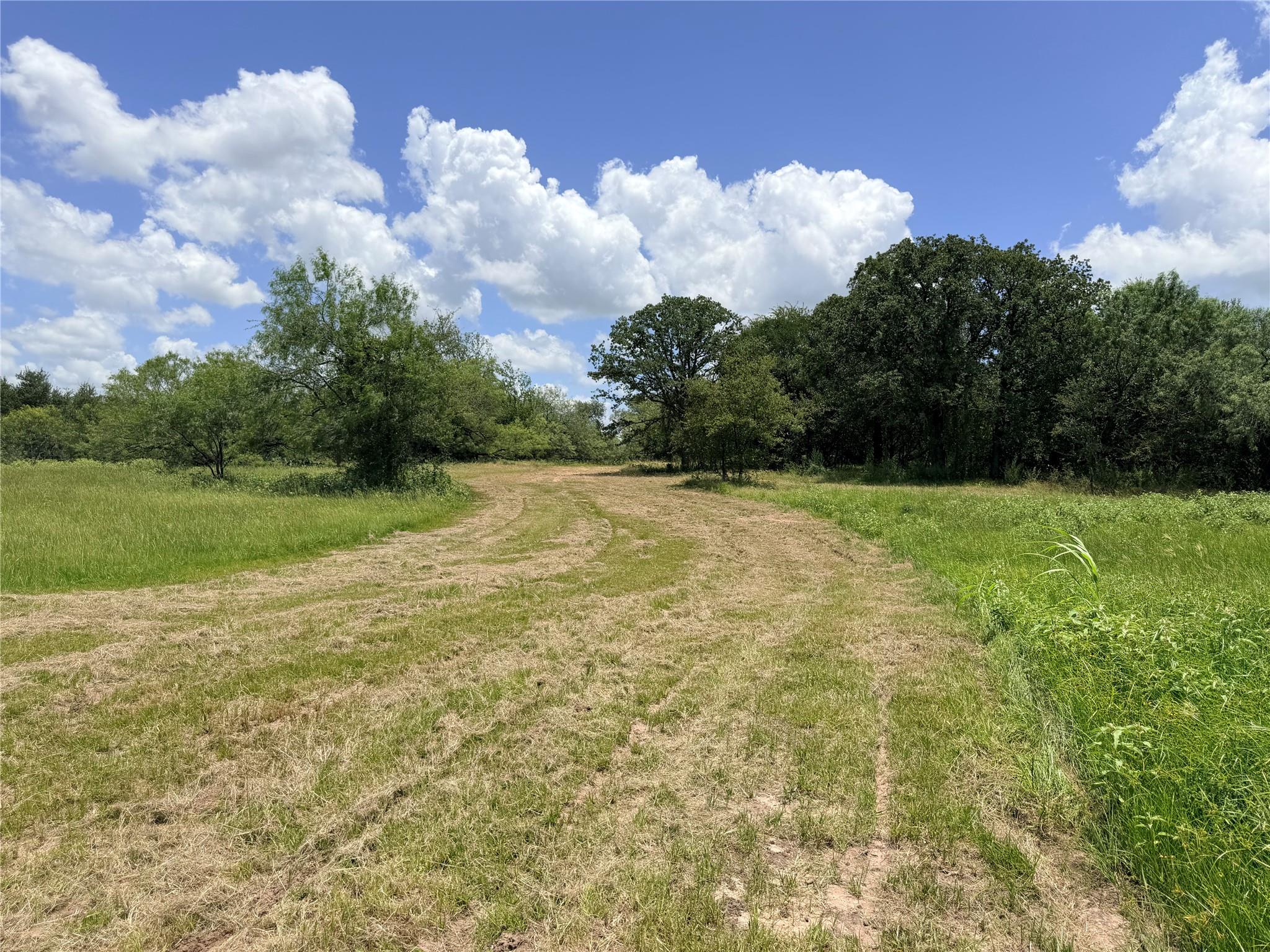 Tbd Fm 86 Tract 5 Hwy Property Photo 1