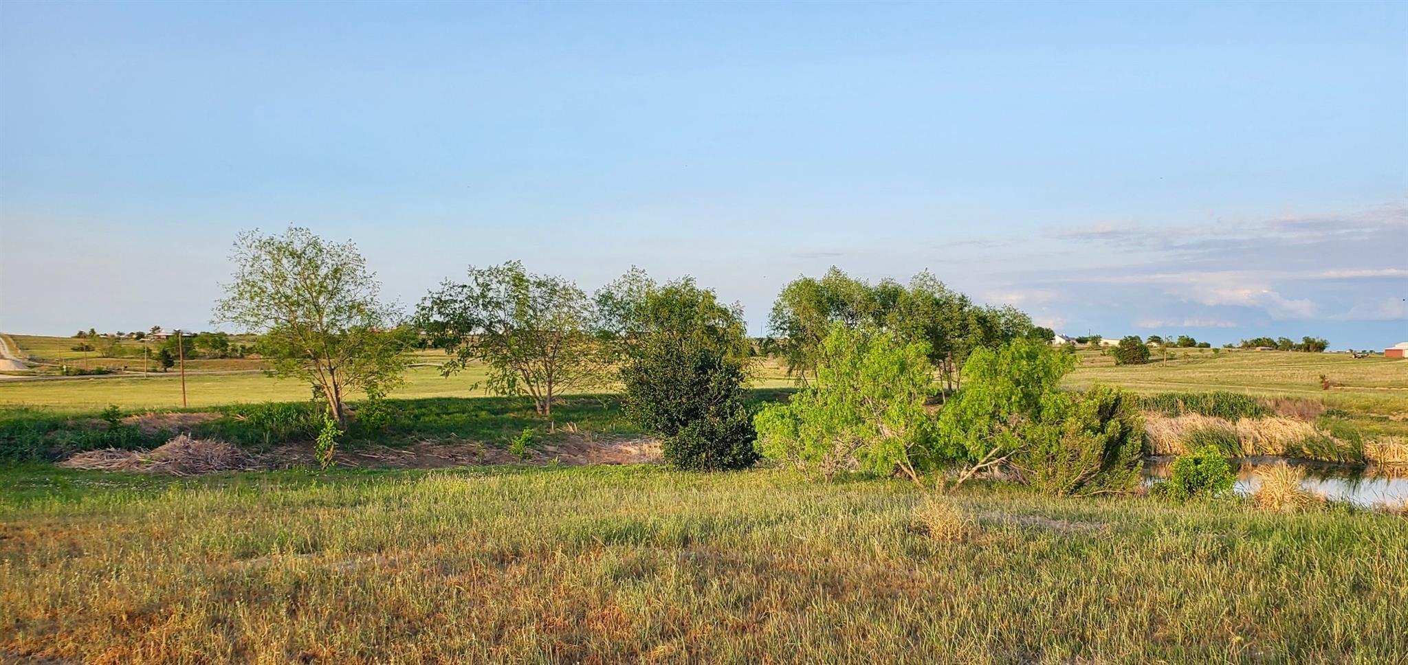 975 County Road 458 (5.87 Acres) None Property Photo 3