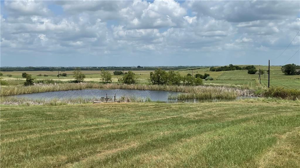 975 County Road 458 (5.87 Acres) None Property Photo 5