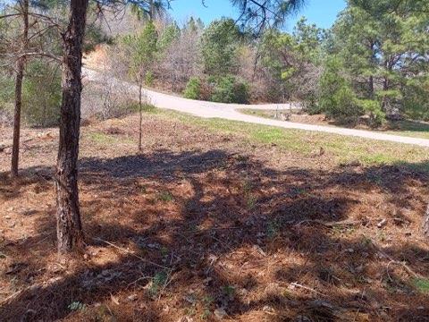 Tbd Adele Dr Property Photo 3
