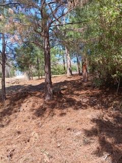 Tbd Adele Dr Property Photo 6