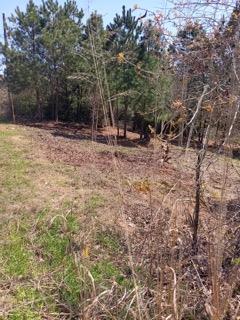 Tbd Adele Dr Property Photo 9