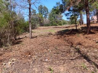 Tbd Adele Dr Property Photo 11