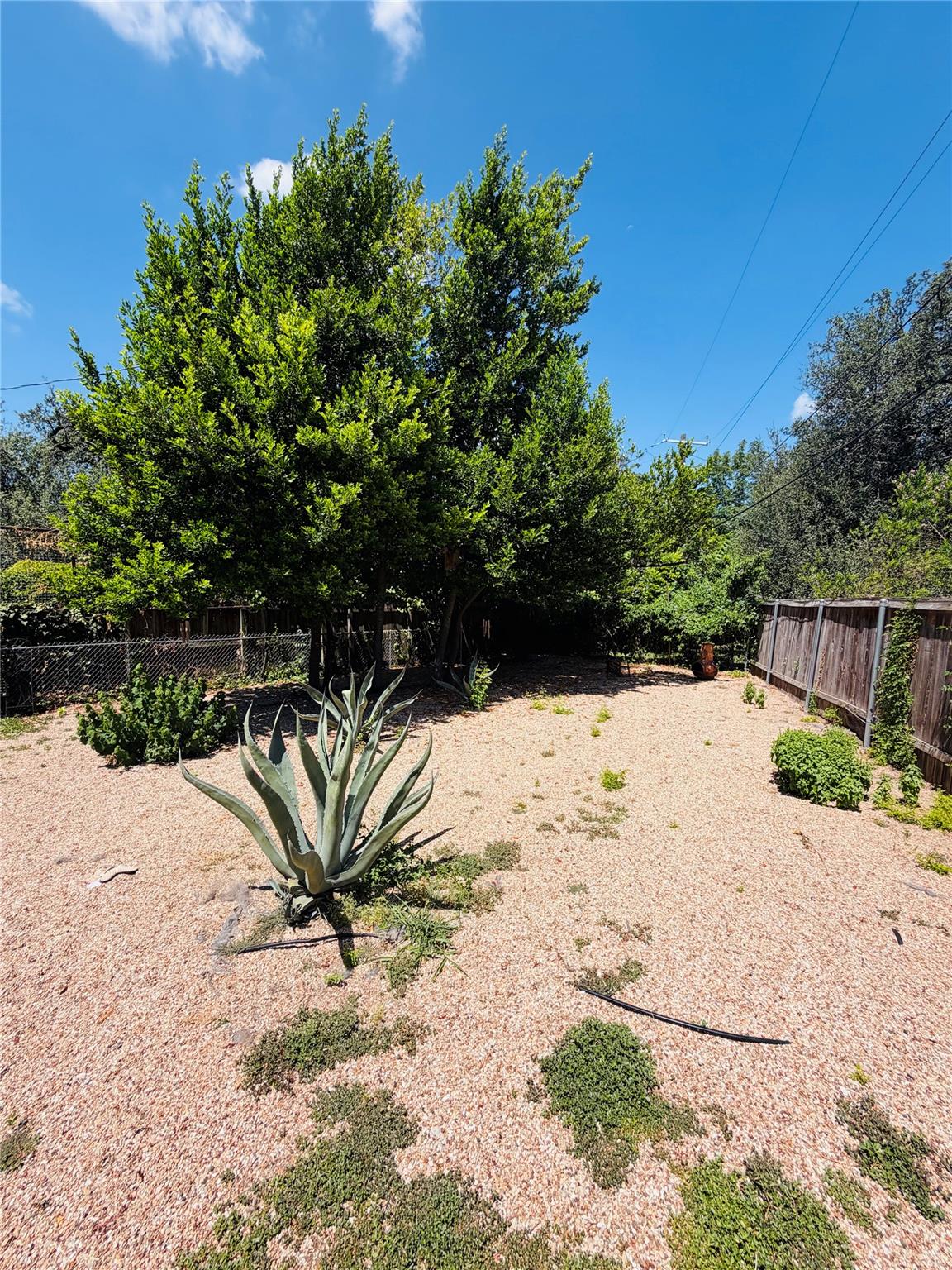 3212 E Oakmont Blvd #b Property Photo 12
