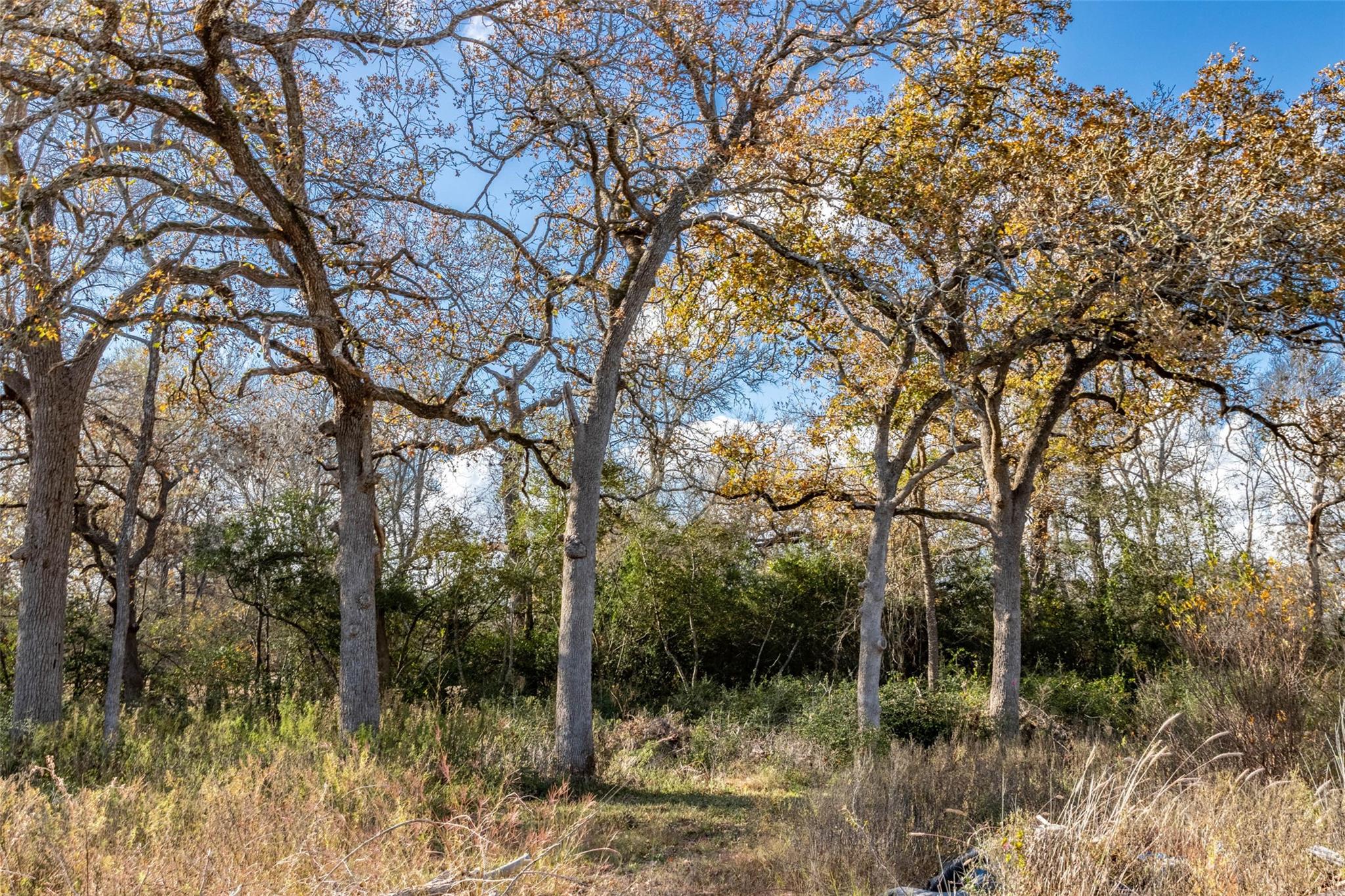 317 Beaver Landing Property Photo 28