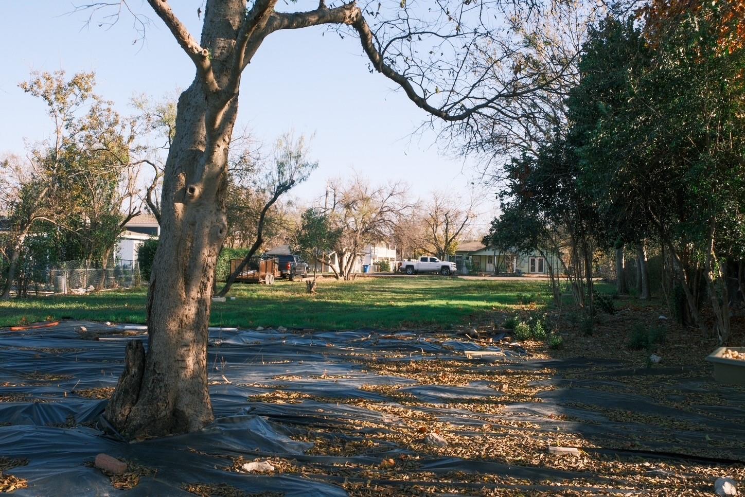 600 Rubio Ave Property Photo 6