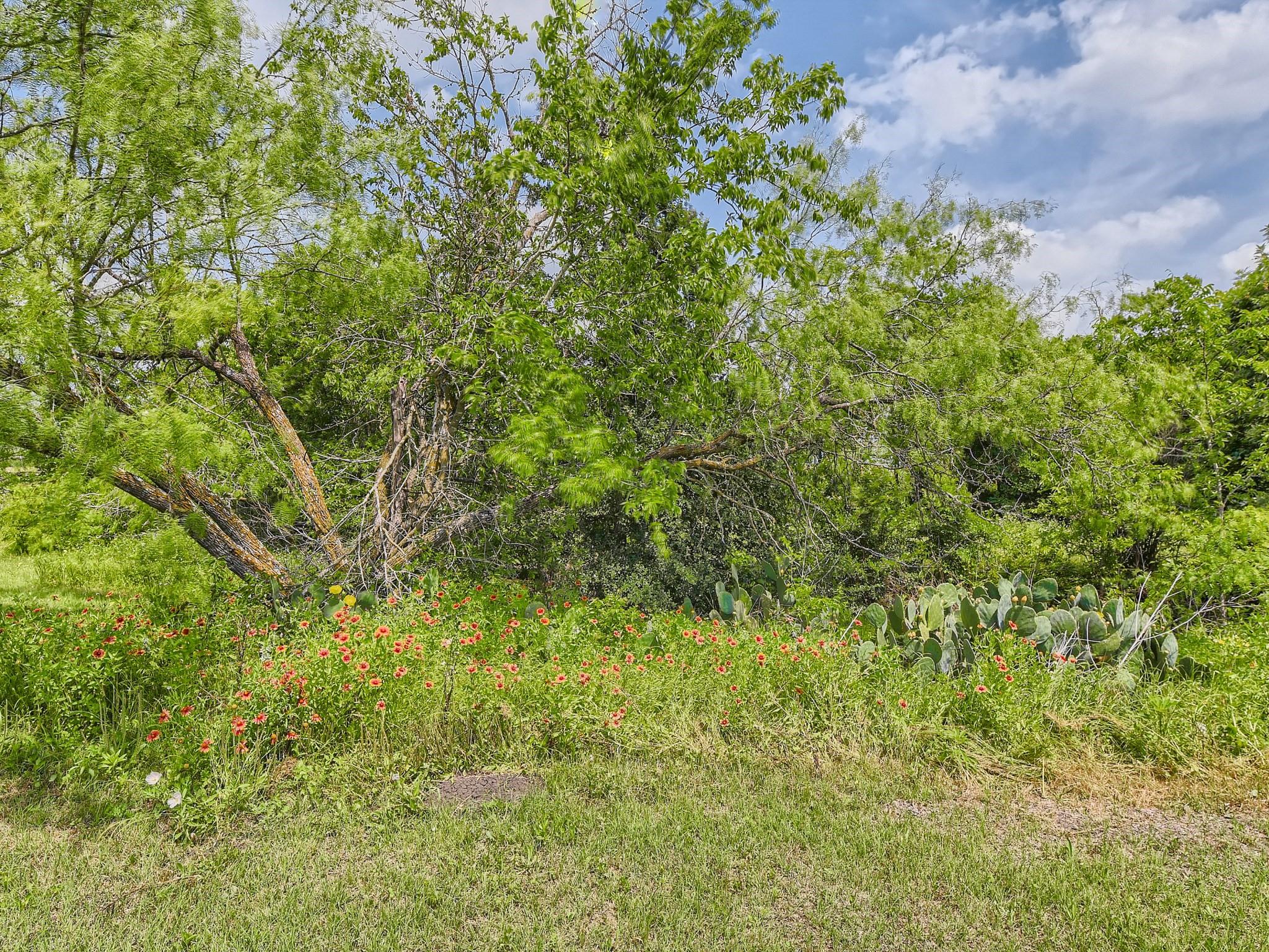 501 County Road 405 Property Photo 38