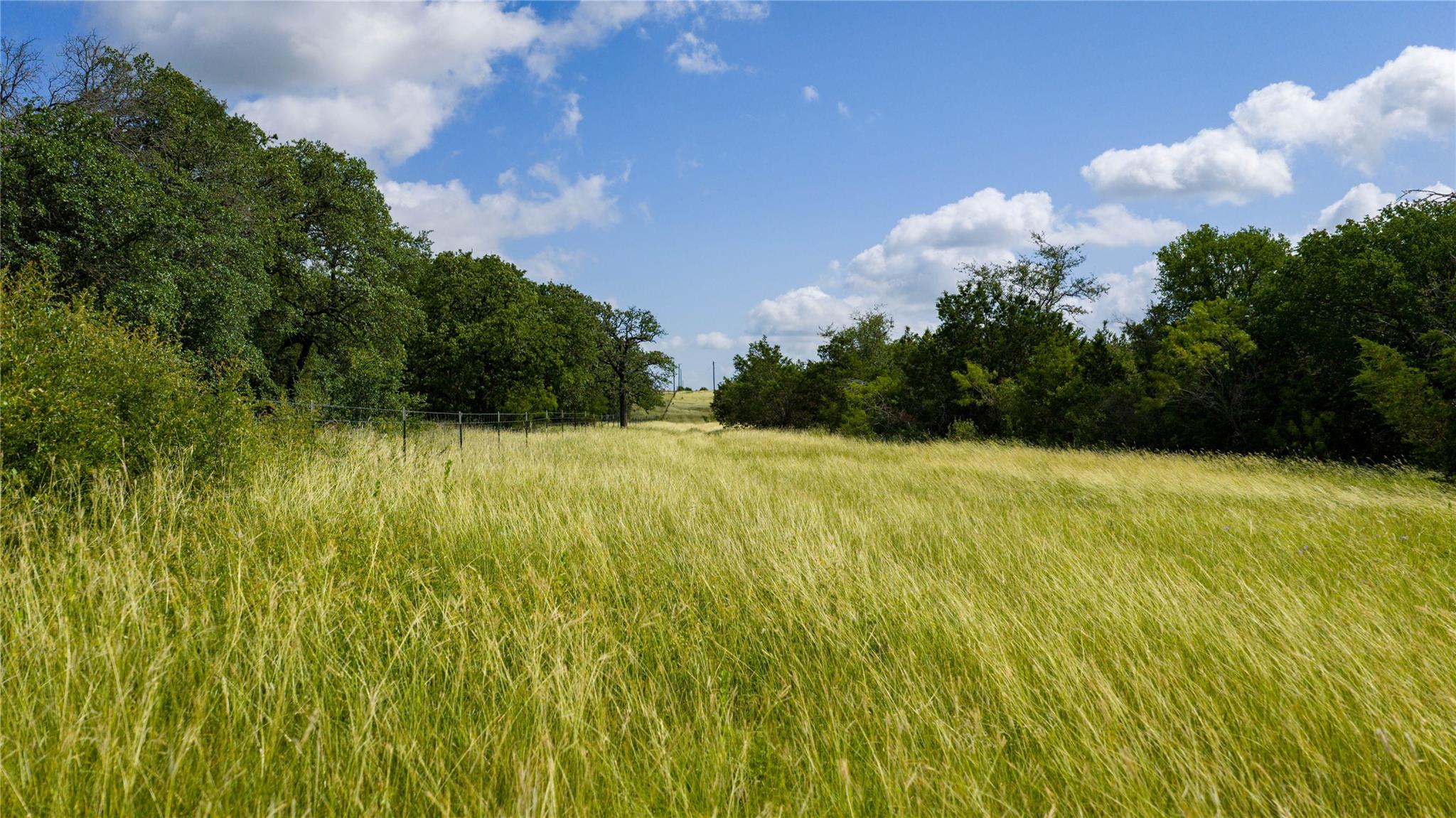 000 County Road 180 Rd Property Photo 4