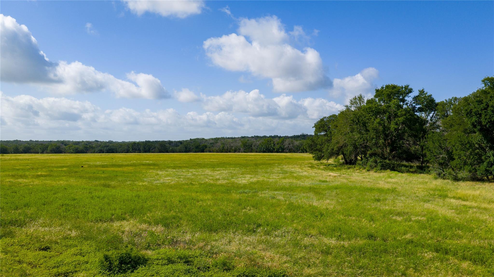 000 County Road 180 Rd Property Photo 8