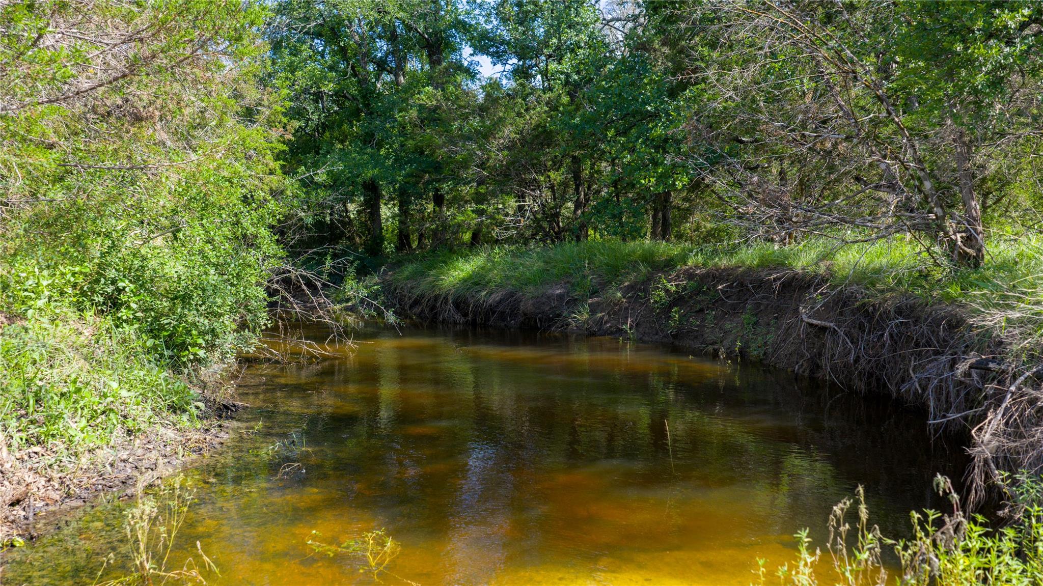 000 County Road 180 Rd Property Photo 10