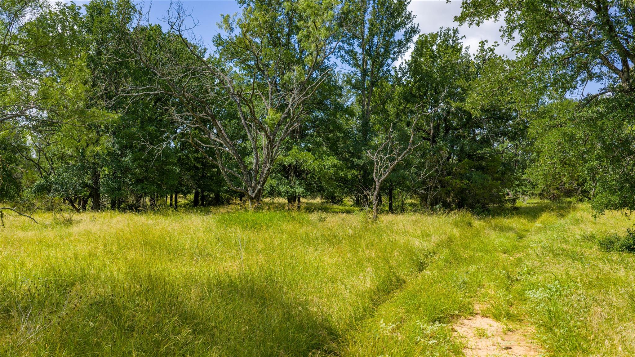 000 County Road 180 Rd Property Photo 11
