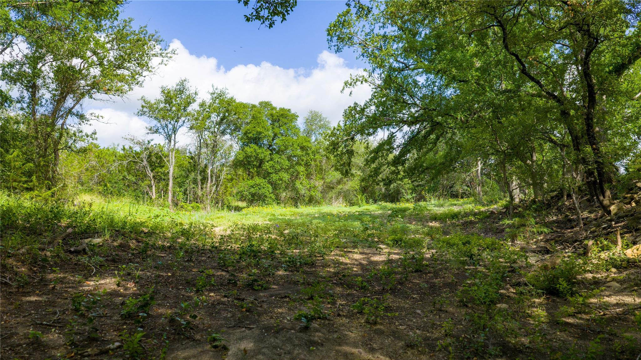 000 County Road 180 Rd Property Photo 13