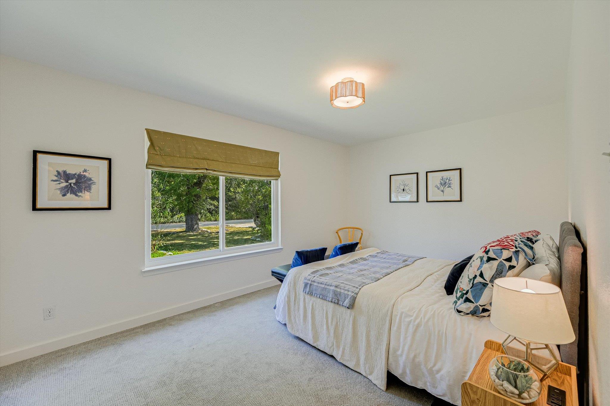 3211 Paisano Trl Property Photo 16