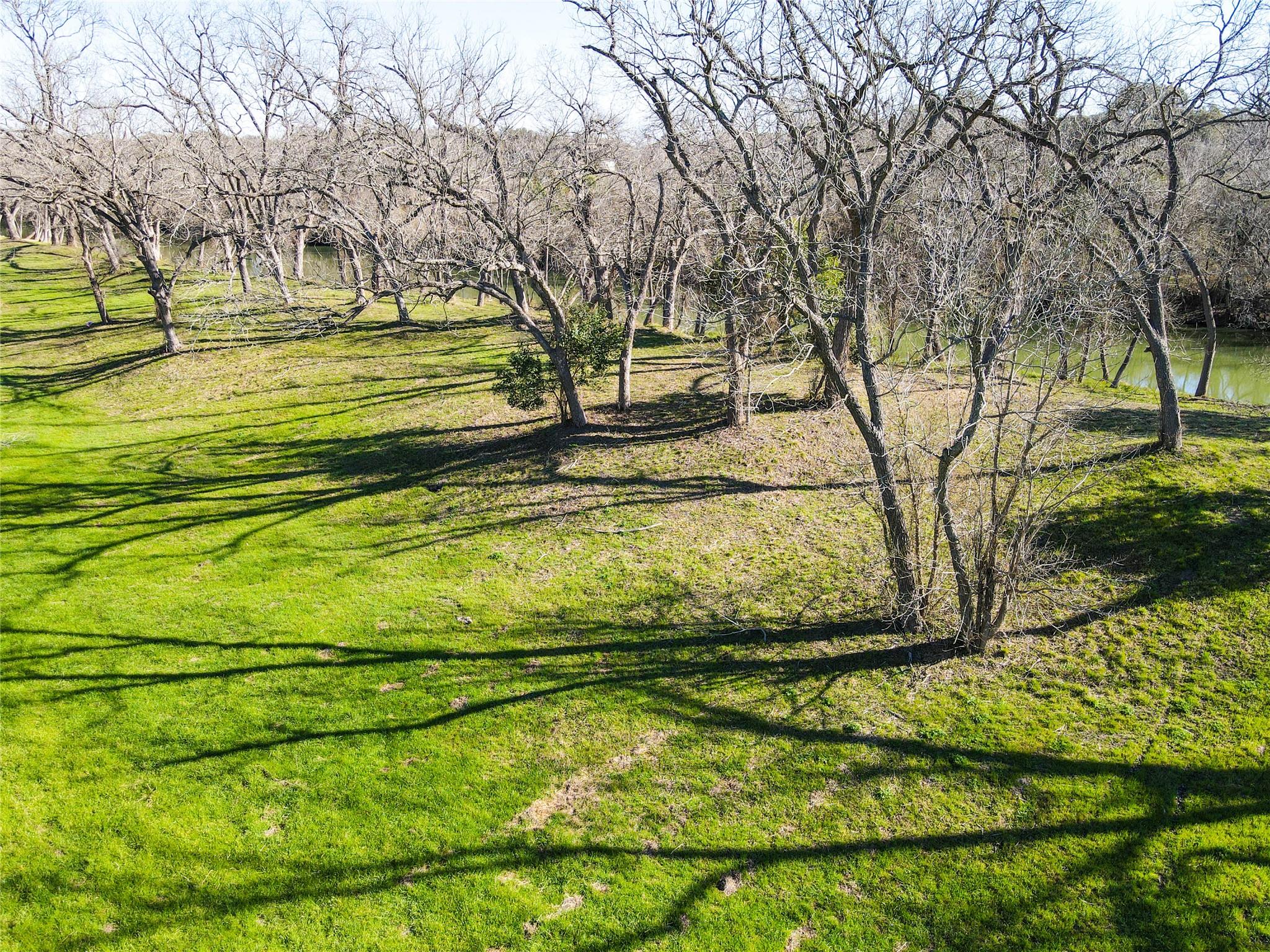 Tbd Lot 1a Leon River Property Photo 12
