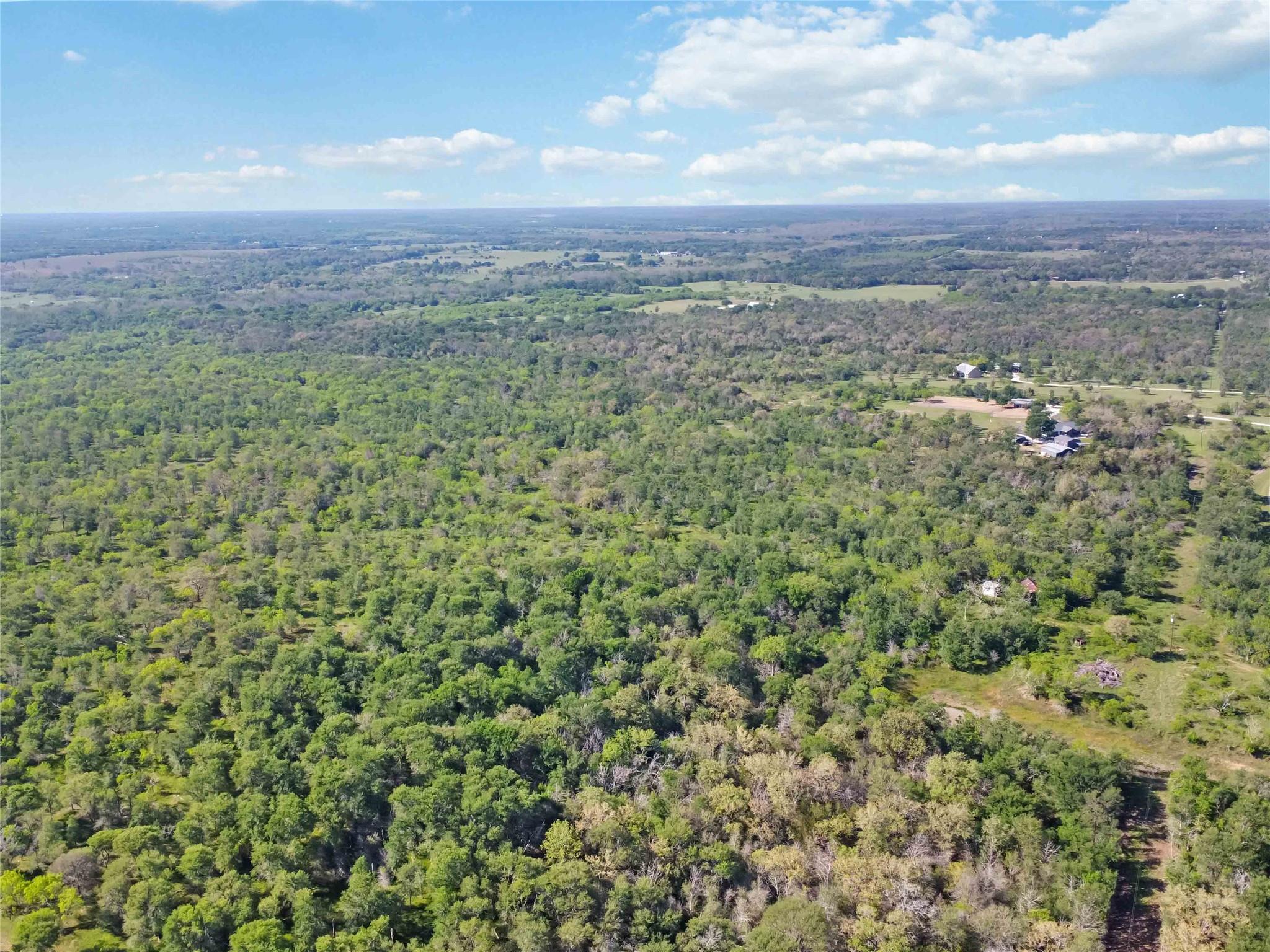 Tbd High Grove Rd Property Photo 6