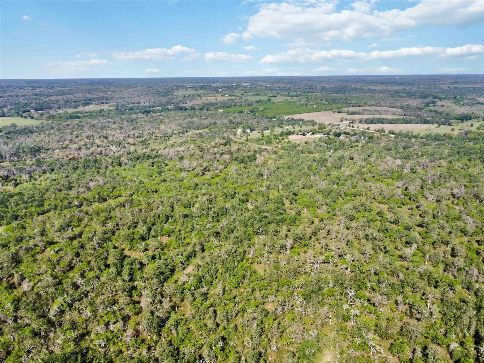 Tbd High Grove Rd Property Photo 8