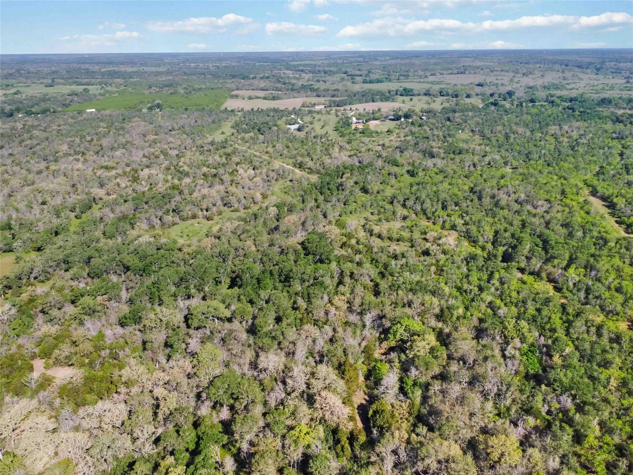 Tbd High Grove Rd Property Photo 11