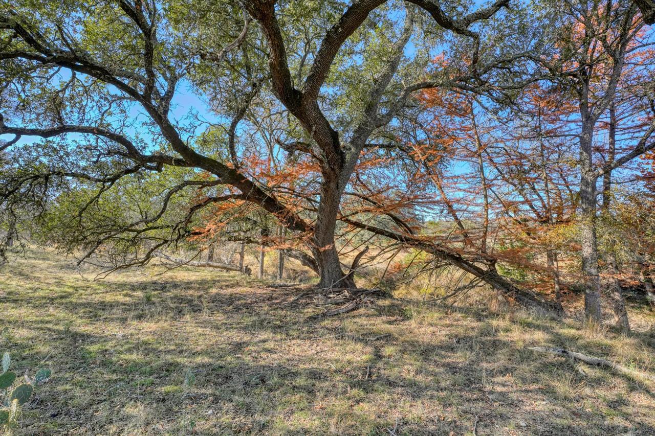 105 Old No 9 Property Photo 23