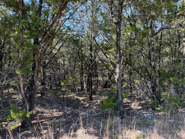 TBD Lot K10035 Dew Drop None Property Photo 1