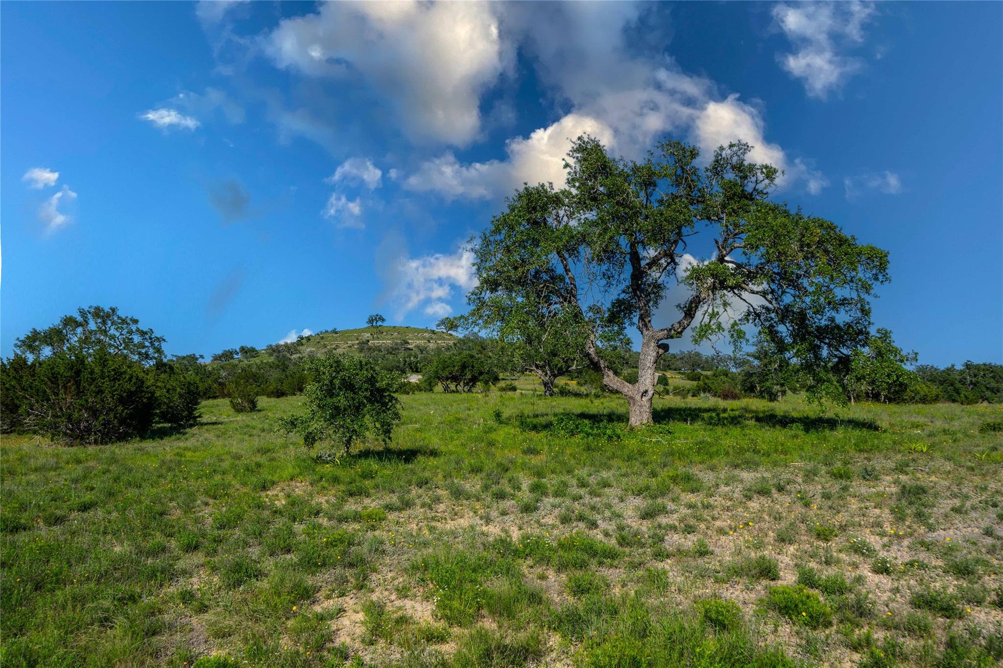 Lot 19 Round Mountain Reserve Property Photo 16