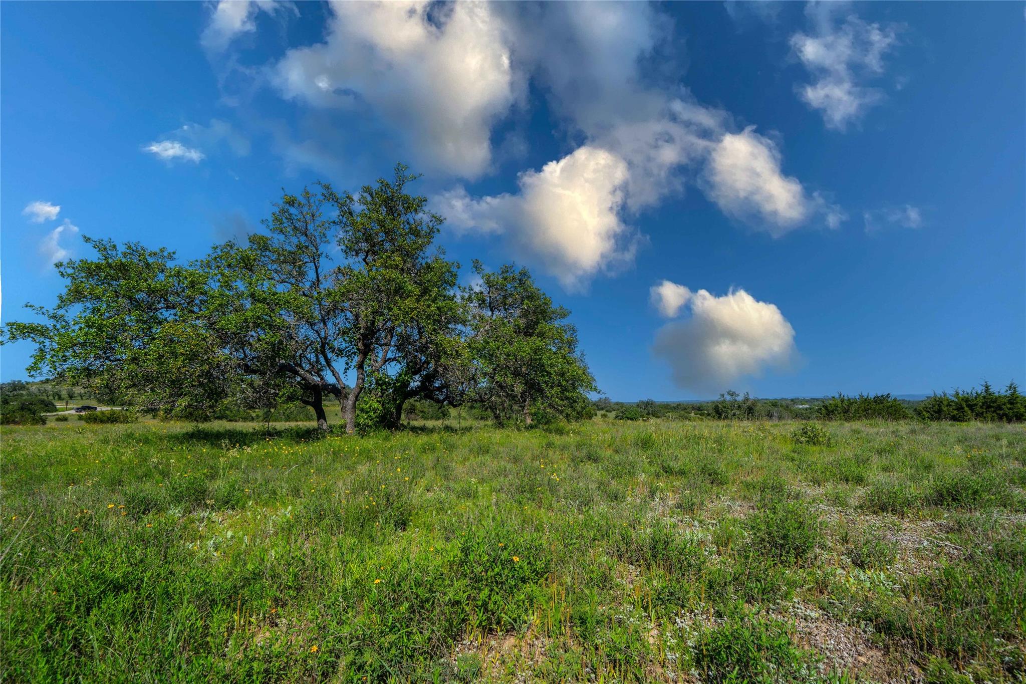 Lot 19 Round Mountain Reserve Property Photo 19