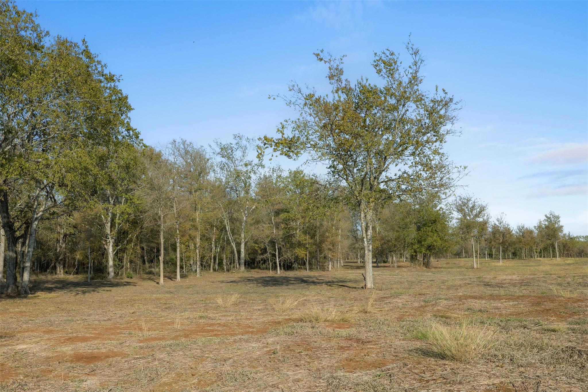 19.7 Ac N Hwy 36 Property Photo 3