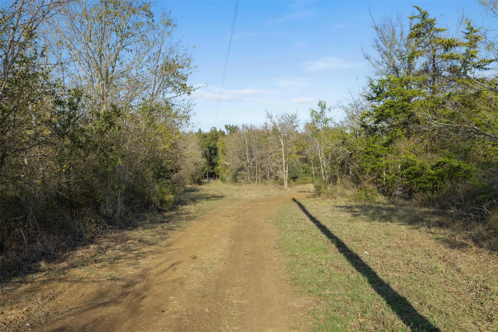 19.7 Ac N Hwy 36 Property Photo 5