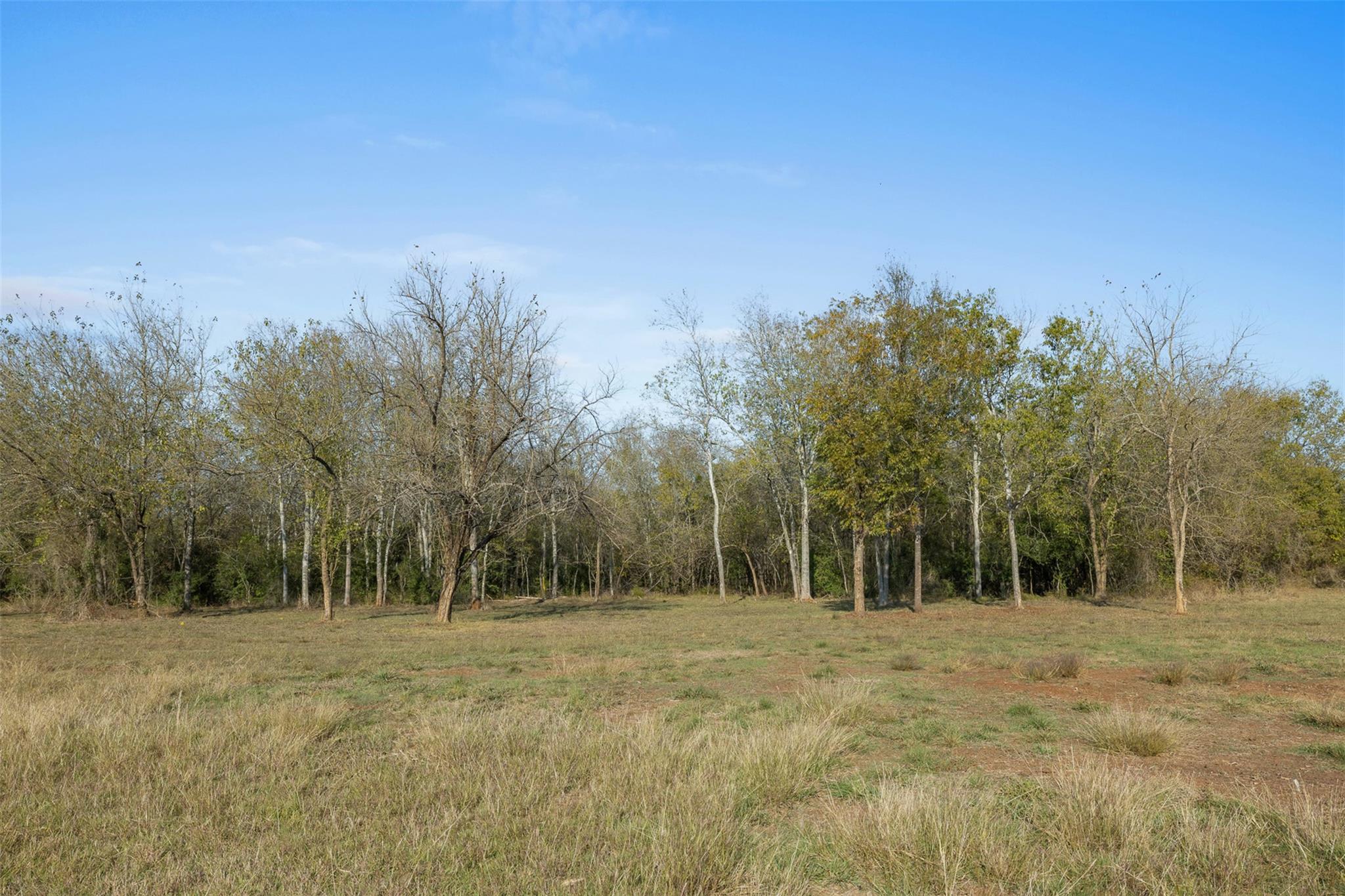 19.7 Ac N Hwy 36 Property Photo 6