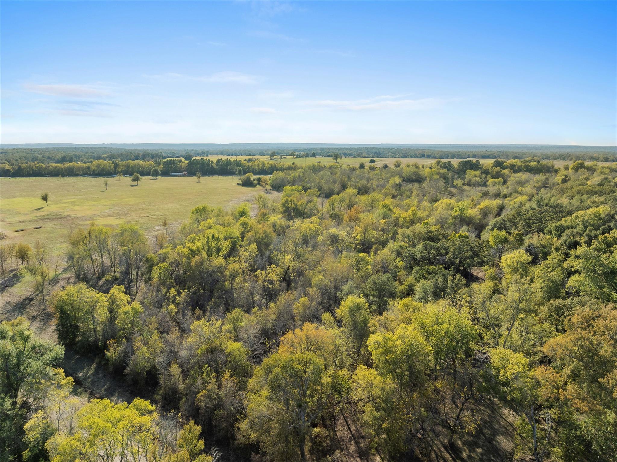 19.7 Ac N Hwy 36 Property Photo 9