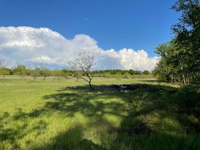 Tbd Lot# 5 Comanche Hills Dr Property Photo 2