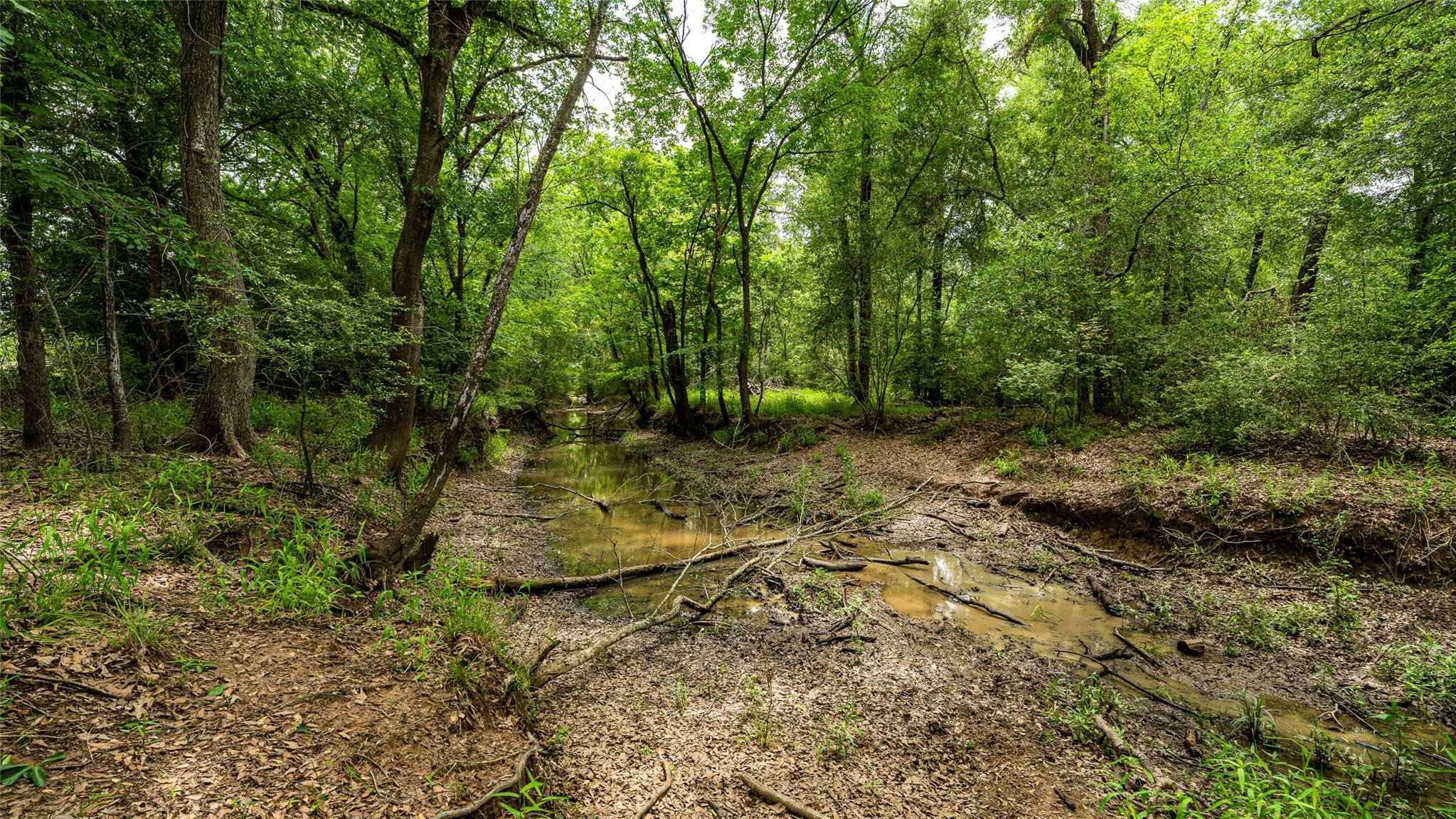 Esmt County Road 302 None Property Photo 3