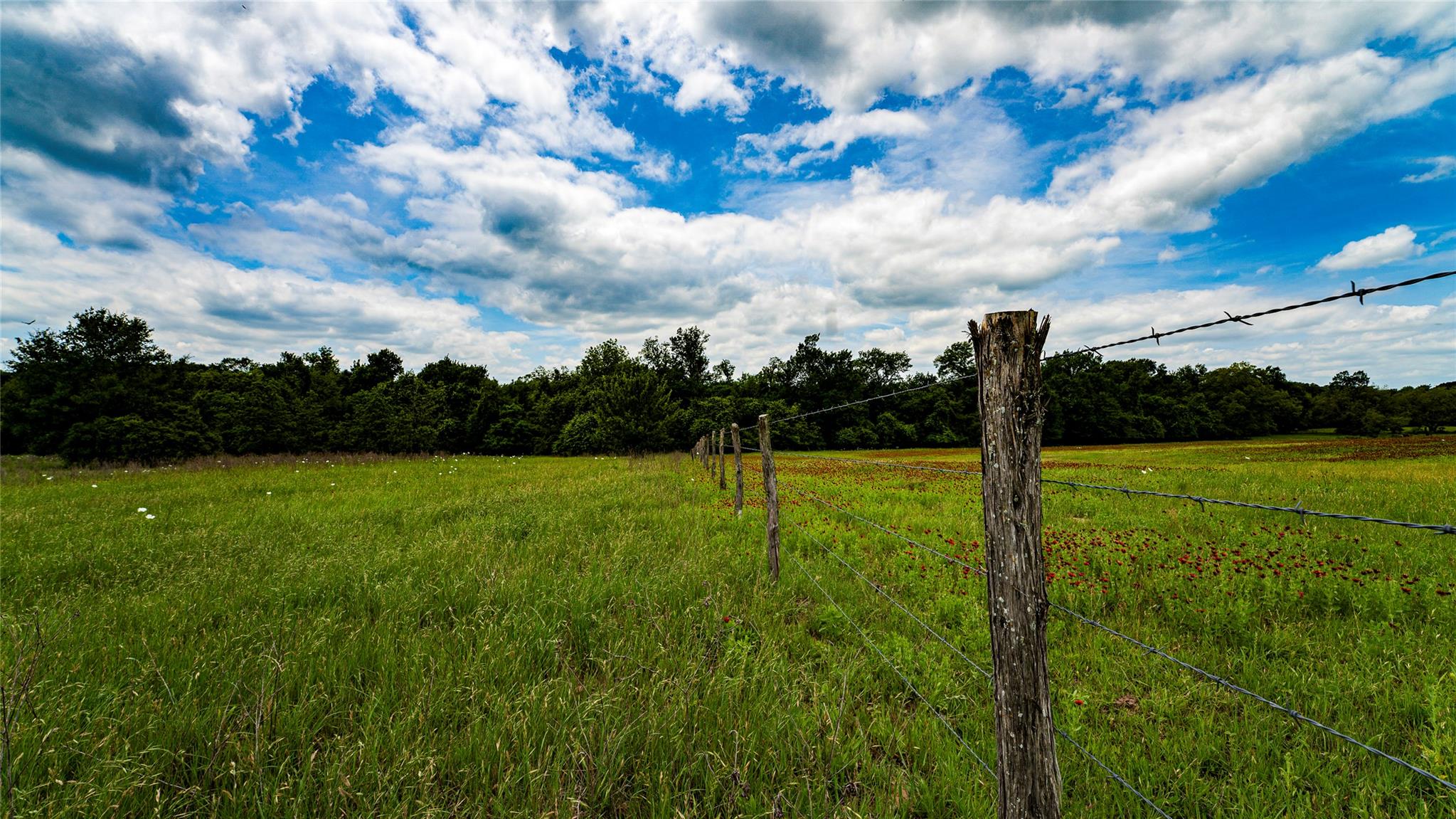 Esmt County Road 302 None Property Photo 8