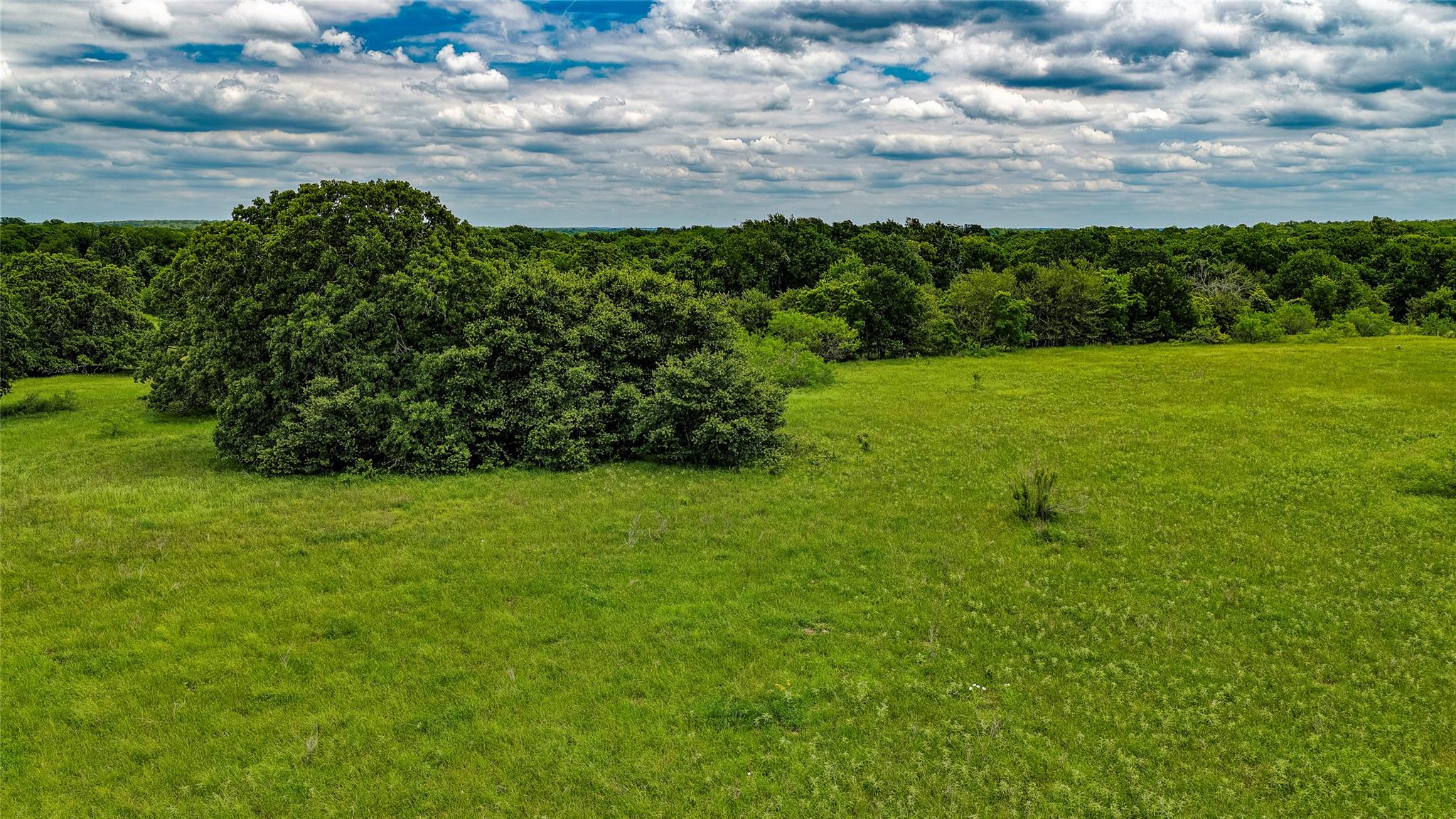 Esmt County Road 302 None Property Photo 14