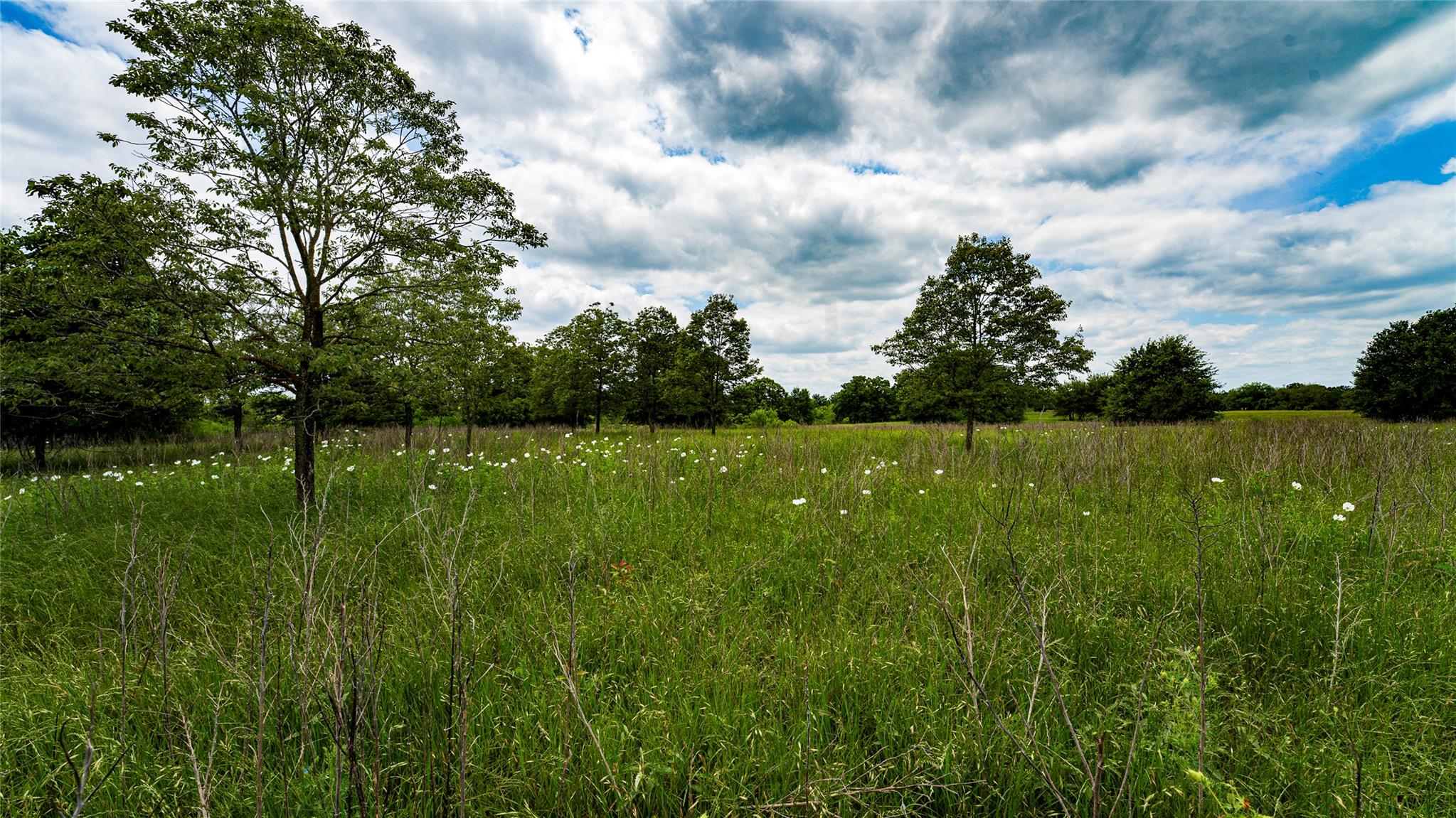 Esmt County Road 302 None Property Photo 15